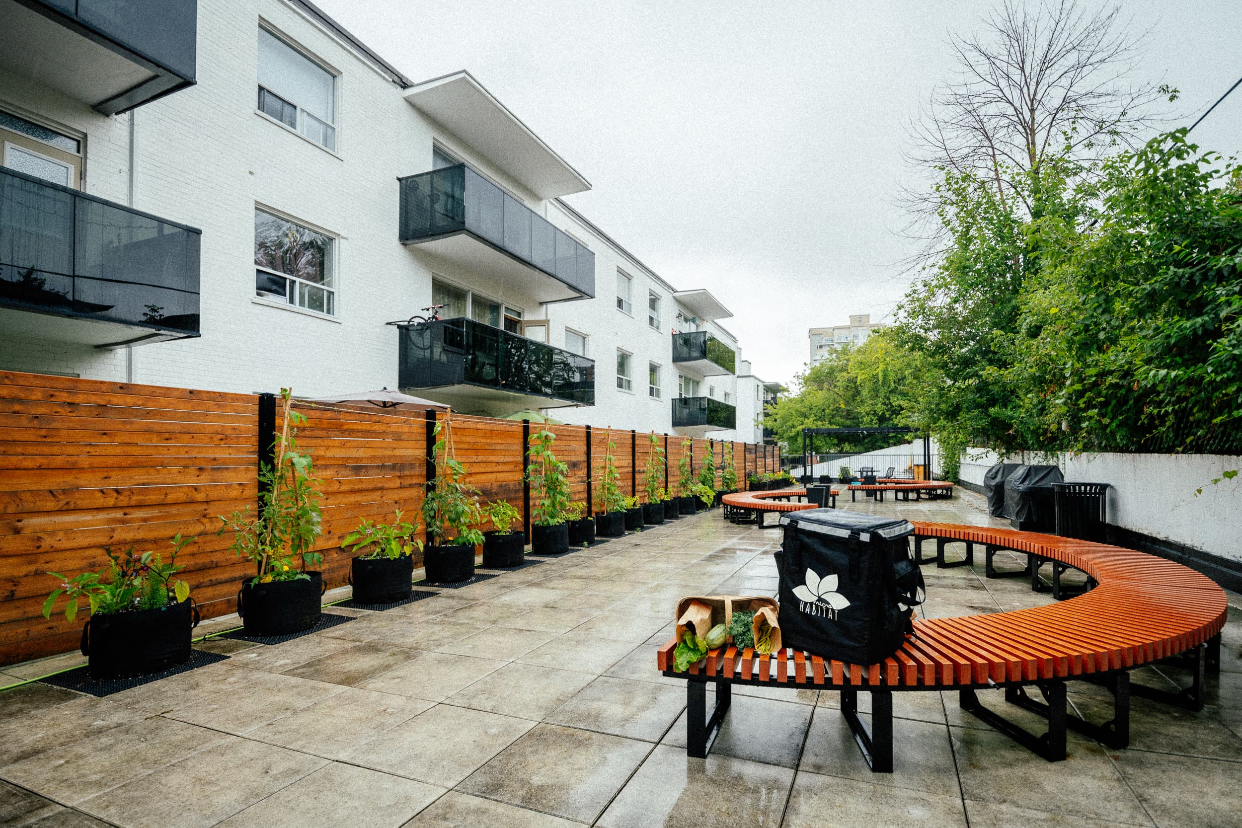 Urban rooftop farm with lush vegetables