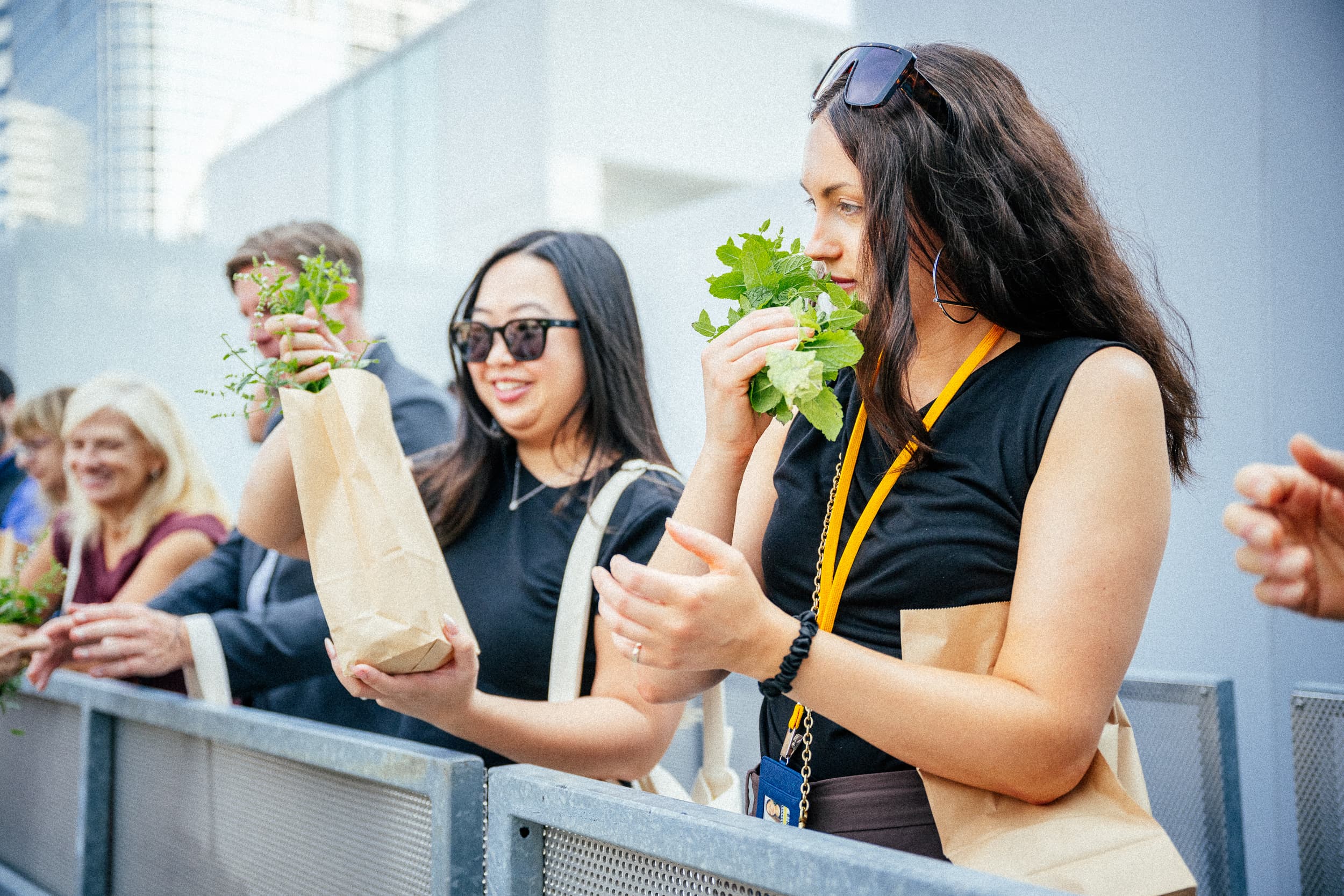 Vertical farming system