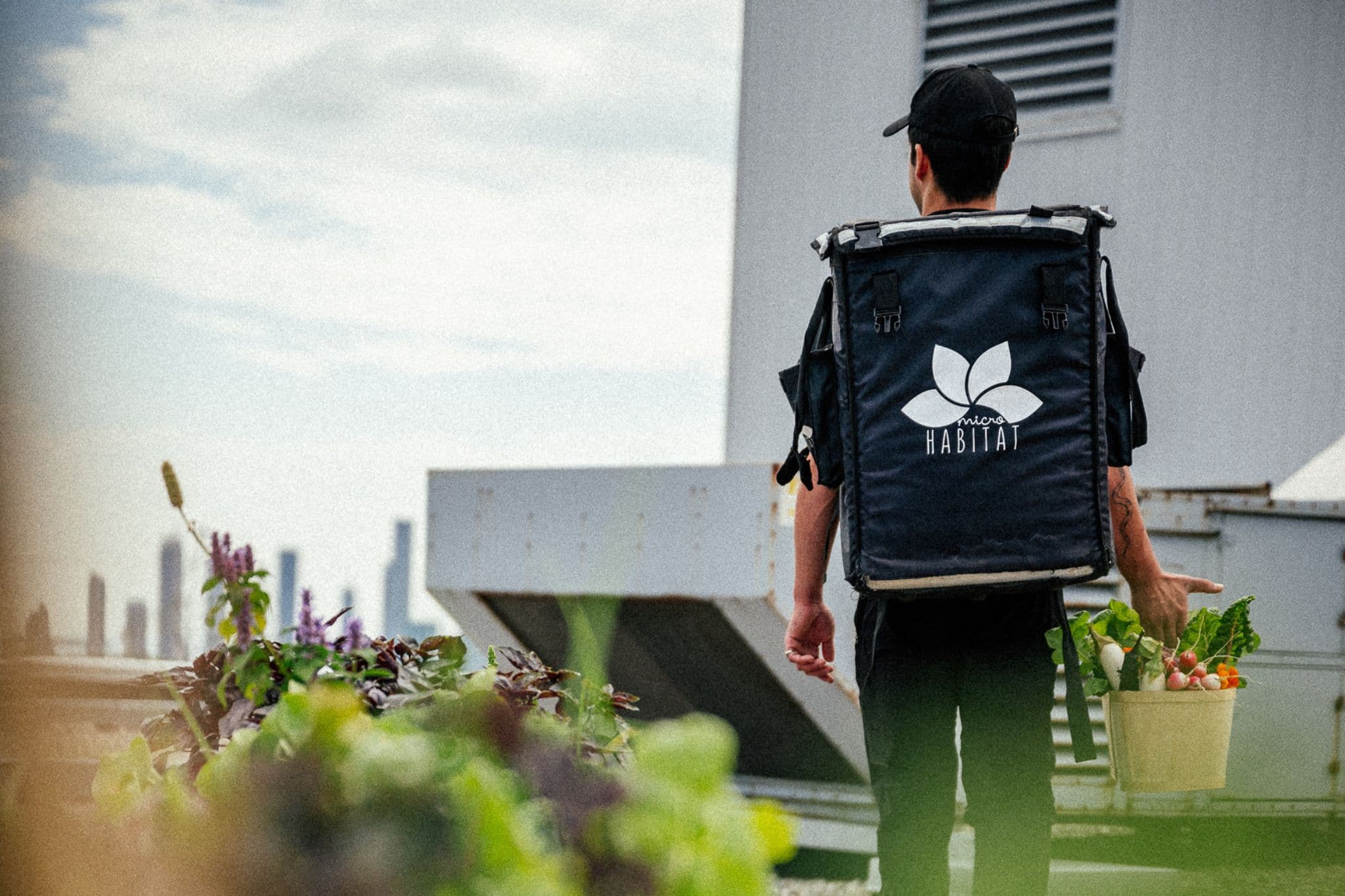 Urban rooftop garden
